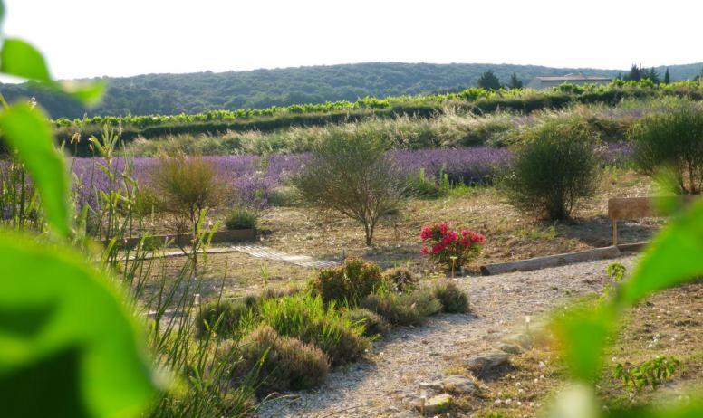 הוילה Bourg-Saint-Andéol Au Mas D'Emma מראה חיצוני תמונה